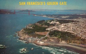 Postcard Golden Gate North-East Seal Rocks Cliff House Fort Miley San Francisco