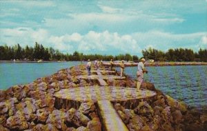 Florida Venice Fishing On The Jetty