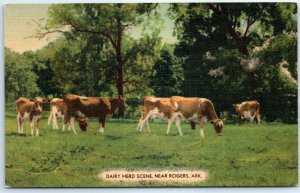 Postcard - Dairy Herd Scene - Arkansas