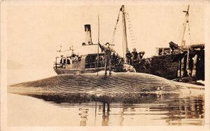 Fishing Scene Whalers with Whale Real Photo Vintage Postcard AA64489 