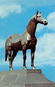 Man O' War The Wonder Horse-Statue Lexington, KY, USA Horse Racing Unused 