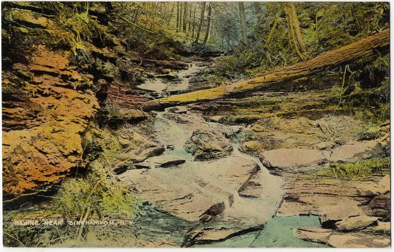 1907-15 Binghamton NY Ravine Near Broome Co. New York RARE Antique DB Postcard