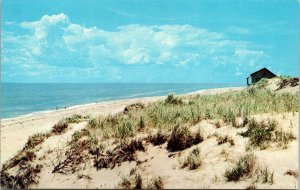 Cape Cod Beach Massachusetts Scenic Coastal Landscape Ocean Chrome Postcard 