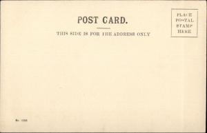 Northampton MA River Scene Shore Bldgs c1905 Postcard