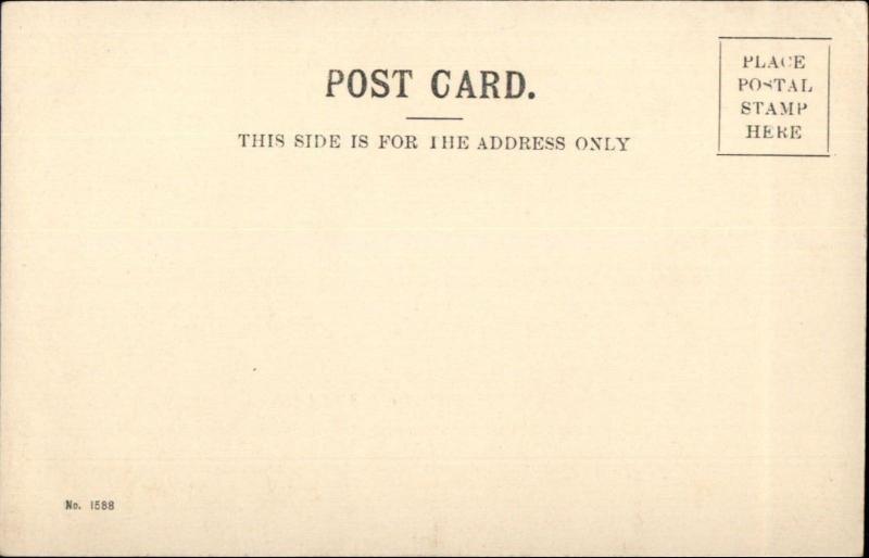 Northampton MA River Scene Shore Bldgs c1905 Postcard