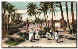 Morocco Old Postcard Scenes et Types South Landscapes Donkey Donkey