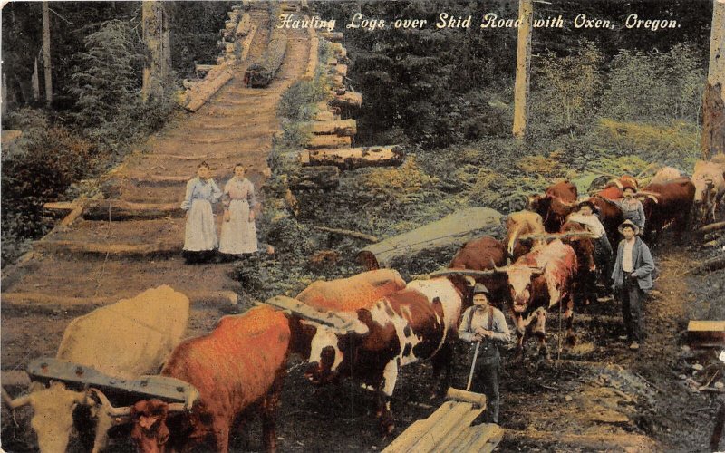 J31/ near Salem Oregon Postcard c1910 Hauling Logs with Oxen Kid Road  326 