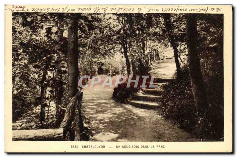 Old Postcard Chatelguyon A Sous Bois In The Park