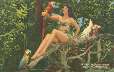 The Parrot Jungle, Red Road, Miami, Florida, unused linen...