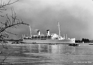 M.S. Italia Printed Photo Italia Societa di Navigazione Ship 