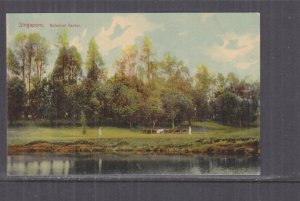 SINGAPORE, BOTANIC GARDENS, c1910 ppc., unused.