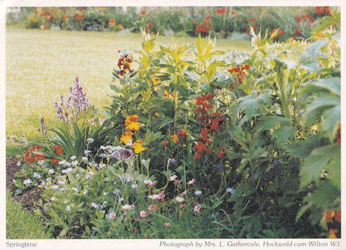 Hockwold Cum Wilton Norfolk Thetford Village Spring Flowers Postcard