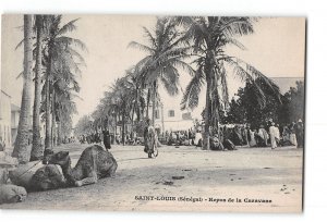 Saint Louis Senegal Postcard 1901-1907 Repos de la Caravane Rest Stop Camels