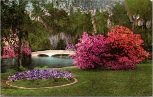 Vtg Charleston SC Magnolia Gardens Bridge View 1940s Hand Colored Postcard