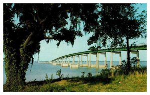 Postcard BRIDGE SCENE Between Santee & Summerton South Carolina SC AQ5194