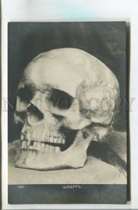 478197 Franz SCHUBERT Austrian Composer SKULL Death Vintage postcard RUSSIA