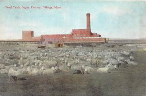 A24/ MONTANA Mt Postcard 1909 BILLINGS Sugar Factory NATIVE AMERICAN INDIAN 