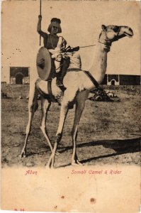 PC ADEN SOMALI CAMEL RIDER ETHNIC TYPES YEMEN (a31946)