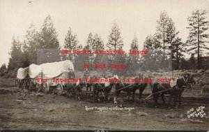 OR, Central Oregon, RPPC, Typical Freighter, Horse Drawn Conestoga Wagons, Photo