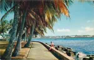 Panama Canal Zone palm-lined promenades along the Atlantic Coast of Colon 1975