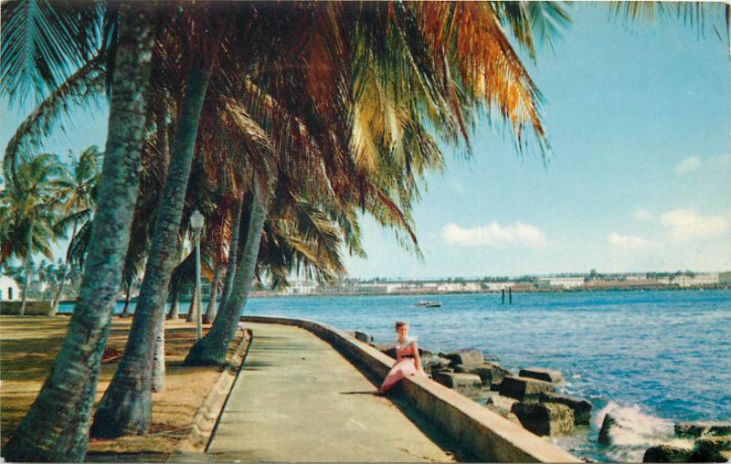 Panama Canal Zone palm-lined promenades along the Atlantic Coast of Colon 1975