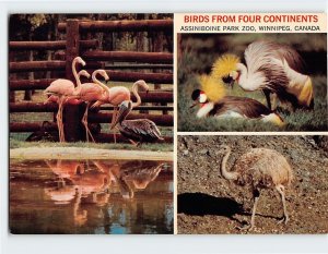 Postcard Birds from Four Continents Assiniboine Park Zoo Winnipeg Canada