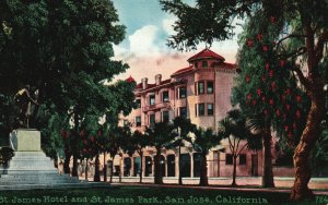 Vintage Postcard St. James Hotel And Park Monument Palms San Jose California CA