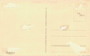 Poland Wrocław Breslau Blick vom St, Ekusabethturm Vintage RPPC  08.41