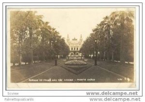 RP: MONACO.- Avenue of Palms Casino de MONTE CARLO, 1910-20s