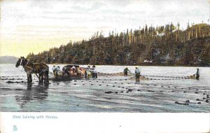 Shad Seining with Horses Fishing Pacific Northwest 1910c Tuck postcard