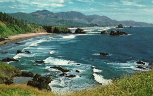 Vintage Postcard Oregon Coast Forest Mountains Waterfalls Rivers Lakes Portland