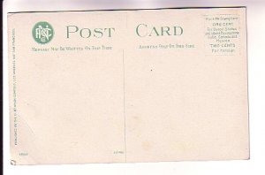 Close Up Orange Blossoms, California