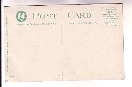 Close Up Orange Blossoms, California