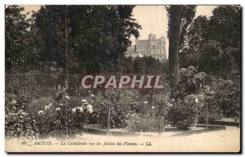 Old Postcard Amiens Cathedral for the Jardin des Plantes