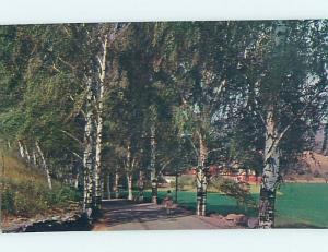 Pre-1980 BOTANICAL SCENE Catskill Mountains - Kingston & Poughkeepsie NY HJ6869