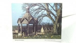 Spring at Farmington Gloucestershire Vintage Postcard 1980s