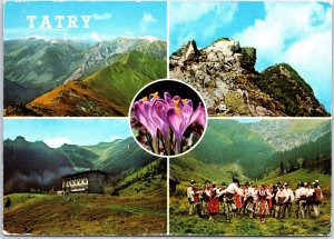 VINTAGE CONTINENTAL SIZE POSTCARD MINI-SCENES AND FLOWER OF TATRY POLAND 1970s