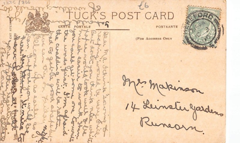 Animals Humanized Cat Little Boy Blue Anthropomorphic 1906 postcard B923