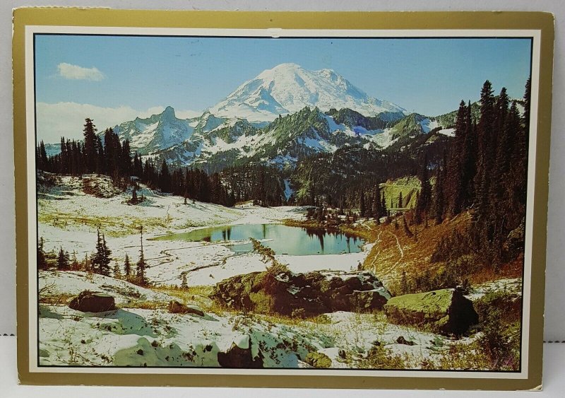 Mount Rainier National Park Washington Vintage Postcard