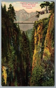 Postcard Vancouver BC 1920s Capilano Canyon And Crown Mountain Suspension Bridge