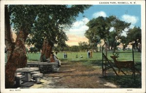 Roswell New Mexico NM Cahoon Park Vintage Postcard