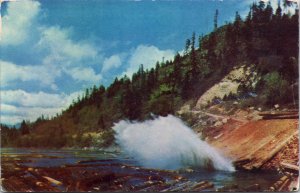 Log Pond dumping Logs in Water Lumber Industry Postcard unused 1940s/50s