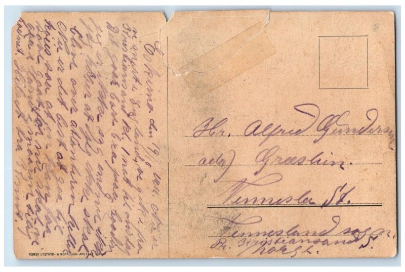 c1910's R. M. S. Eskimo Steamer Ship Smoke Posted Antique Postcard