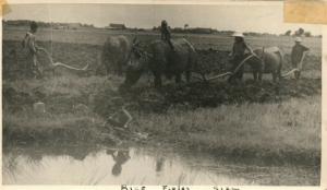 THAILAND SIAM FARM SCENE ANTIQUE REAL PHOTO POSTCARD RPPC