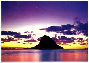 VINTAGE CONTINENTAL SIZE POSTCARD CHINAMAN'S HAT ISLAND VIEW FROM KUALOA PARK