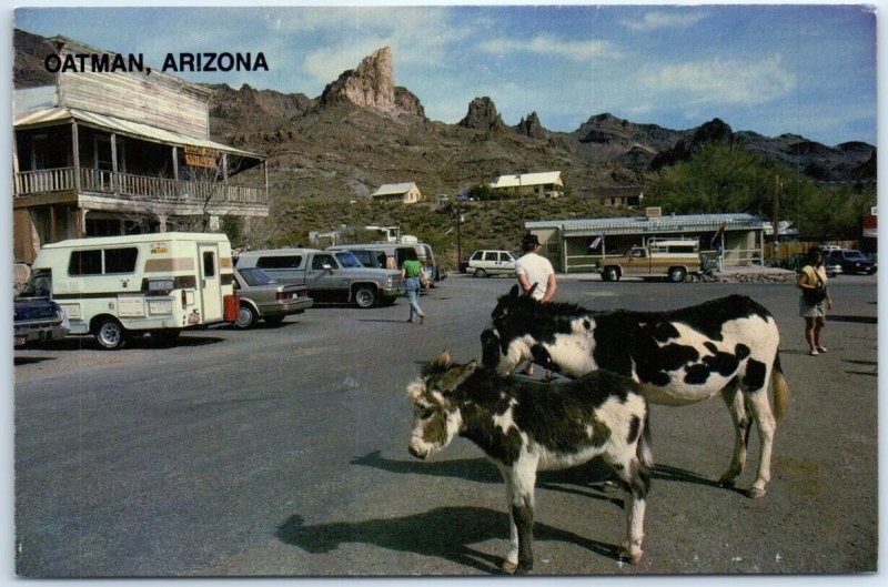 Postcard - Waiting For The Tourists - Oatman, Arizona