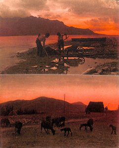 Italy Campagna Romana farm scenes unit of 2 vintage mono-chrome postcards 