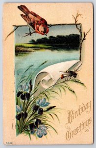 1913 Birthday Greetings Bird And River Landscaped Posted Postcard