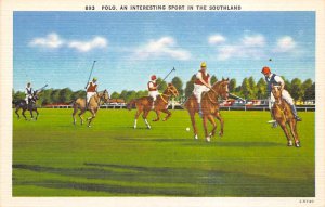 Polo an Interesting spofrt in the Southland Polo Unused 