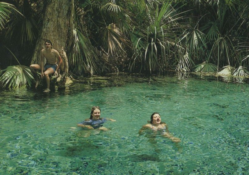 Giggling Girls Swimming in Mataranka Thermal Pool Australia Postcard